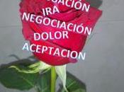 Duelo Fase negación/es verdad