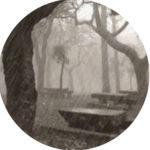 Senderismo y trekking: Caminando bajo la lluvia