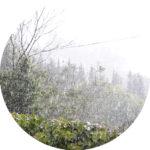 Senderismo y trekking: Caminando bajo la lluvia