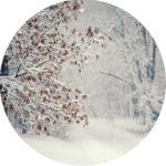 Senderismo y trekking: Caminando bajo la lluvia