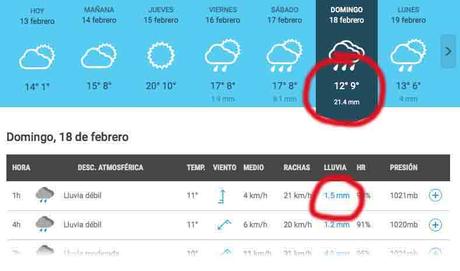 Así podemos ver la cantidad de precipitaciones previstas en la página tiempo.com