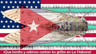 Ataques sónicos: justificación para socavar relaciones Cuba-EE.UU.