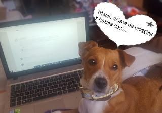 Algunas herramientas útiles para gestionar  el tráfico de tu blog.