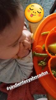 Blw o alimentación complementaria sin triturados Blw o alimentación complementaria sin triturados