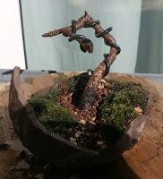 Primeros trasplantes del  2018