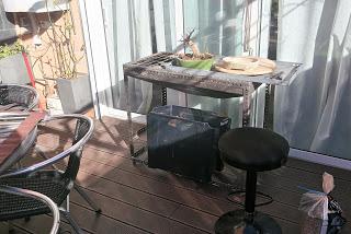 Primeros trasplantes del  2018