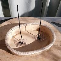 Primeros trasplantes del  2018