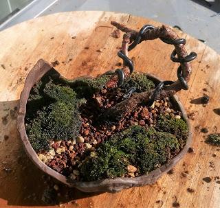 Primeros trasplantes del  2018