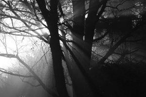 Qué Es la Quinta Dimensión Espiritual y Cómo Podemos Acceder a Ella de Forma Plena dawn-999951__340