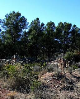 La magnetita de Mina Edison, Cehegín.