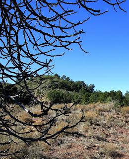 La magnetita de Mina Edison, Cehegín.