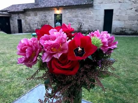 ¡Las flores del jardín en febrero! The flowers of the garden in February!