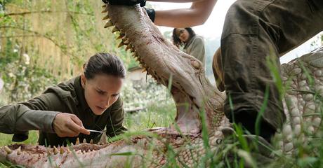 Netflix confirma el estreno de 'Annihilation', adaptación de la novela de Jeff VanderMeer Netflix confirma el estreno de 'Annihilation', adaptación de la novela de Jeff VanderMeer