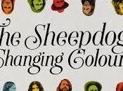 Sheepdogs roll (2018)