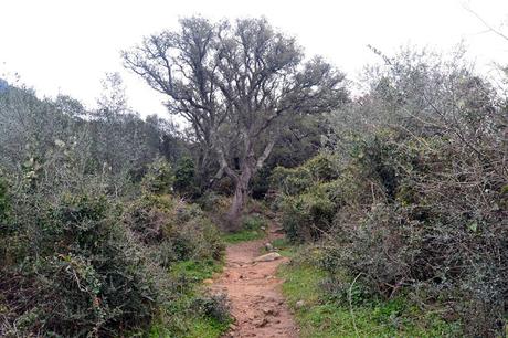 SENDERO DE LA GARGANTA DE PUERTO OSCURO