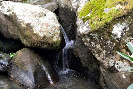 SENDERO DE LA GARGANTA DE PUERTO OSCURO