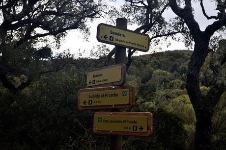 SENDERO DE LA GARGANTA DE PUERTO OSCURO