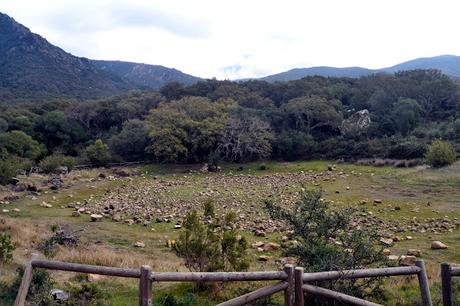 SENDERO DE LA GARGANTA DE PUERTO OSCURO