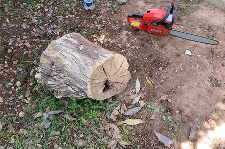 Hacer nidos naturales