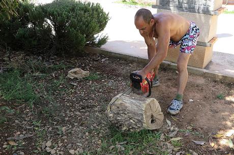 Hacer nidos naturales