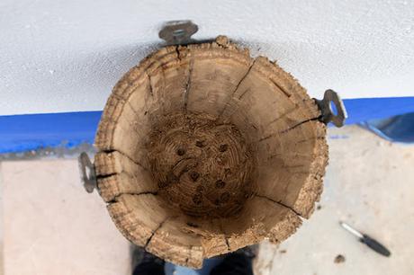 Hacer nidos naturales