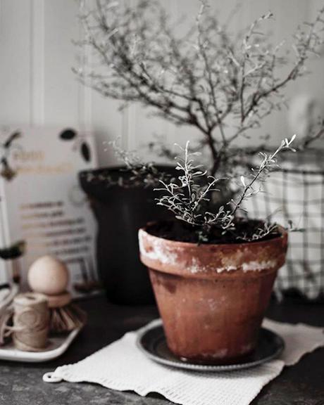 decoracion-raw-tendencias-decorativas