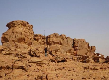 ¿Qué hacen unos dromedarios esculpidos a tamaño real en Arabia Saudí?