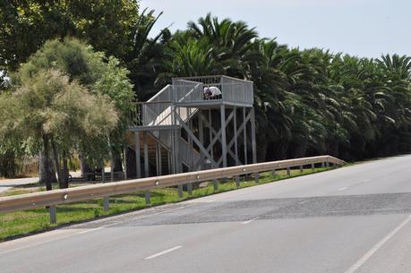 Mirador de Aviones del Prat de Llobregat
