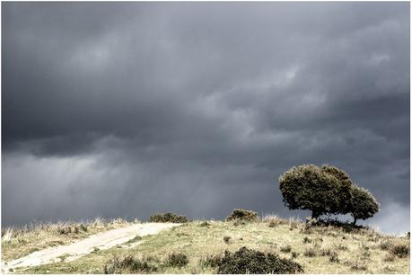 Resultado de imagen de cielo gris