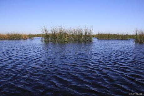 Hidrohide en Gorchs (noviembre 2017)