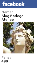 Otro Cuento 2016
