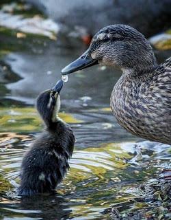 ESTÁBAMOS LOS DOS...