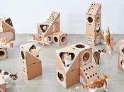 Estos arquitectos crean casas cartón modulares para gatos molan mucho!