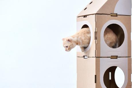 Estos arquitectos crean casas de cartón modulares para gatos ¡y molan mucho!