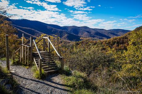 La puerta estaba abierta