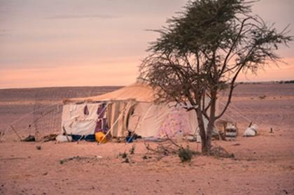 Nostalgia, lo llaman