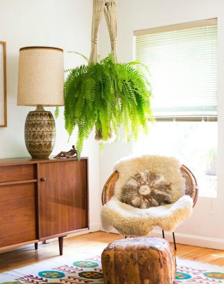 Las 9 mejores plantas colgantes Las 9 mejores plantas colgantes