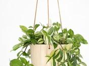 mejores plantas colgantes
