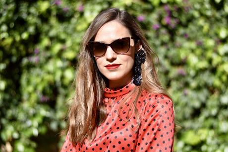  photo fullsizeoutput_6996_zpso3xsnbeo.jpeg