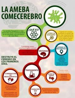 Murió un nene de ocho años por la 