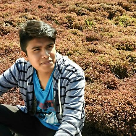 Las abejas (y el ser humano) sí están en peligro Las abejas (y el ser humano) sí están en peligro