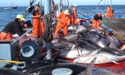 Resumen de la Conferencia sindical en solidaridad con el Sáhara Occidental en el Parlamento Europeo