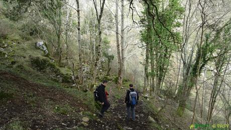 Bajando por el bosque a Sabugo