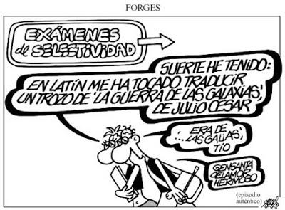 Gracias maestro, hasta siempre Forges