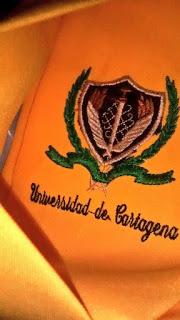 Experiencia universitaria culminada. Blog activo.