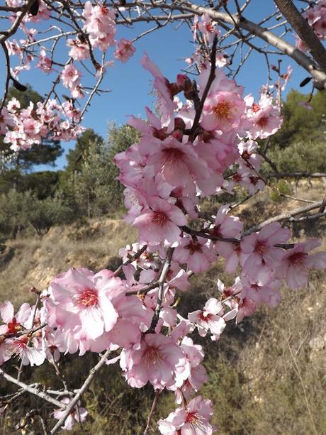 El Ocaso invernal está llegando... Los Heraldos anuncian la nueva estación La Primavera