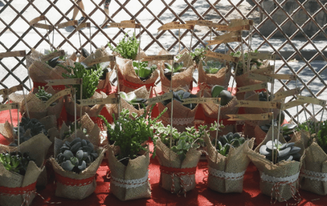 Recuerdos de una Comunión: el sitting sitting - comunion guille 3