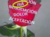 Duelo Fase irá/buscando culpables