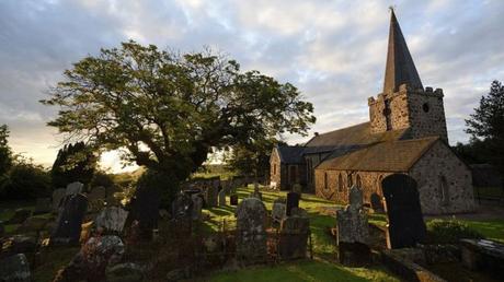 El árbol de La Armada