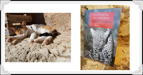 Mis últimas lecturas